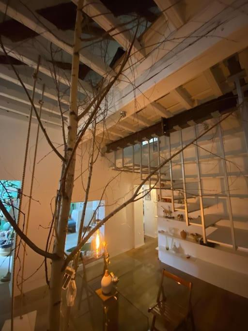 Casa Degli Alberi Apartment Turin Bagian luar foto