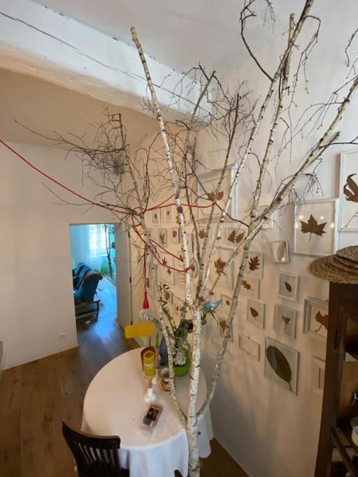 Casa Degli Alberi Apartment Turin Bagian luar foto
