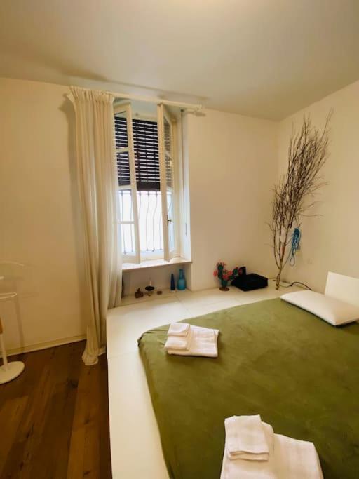 Casa Degli Alberi Apartment Turin Bagian luar foto