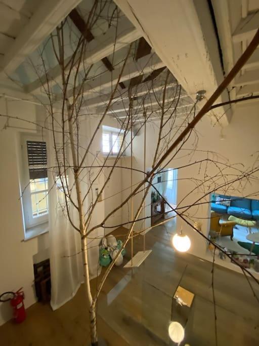 Casa Degli Alberi Apartment Turin Bagian luar foto