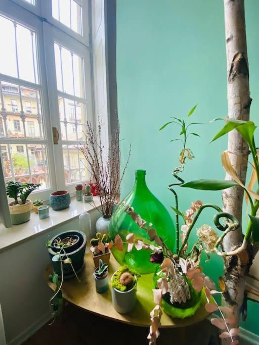 Casa Degli Alberi Apartment Turin Bagian luar foto